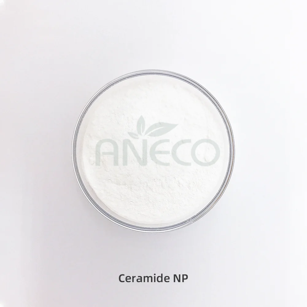 Ceramide系列